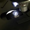 Microscopio Binocular Levenhuk 720B luz platina