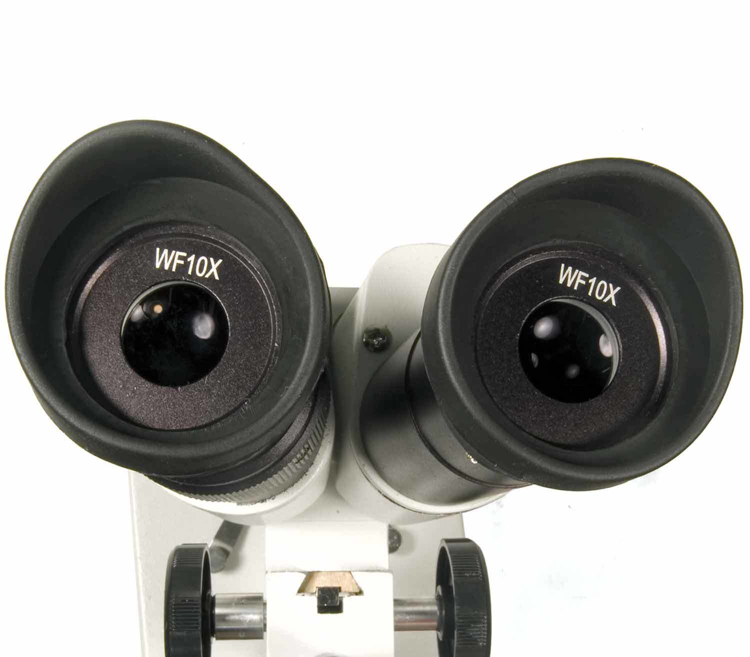 Microscopio Levenhuk 2ST oculares